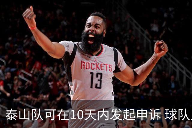 泰山队可在10天内发起申诉 球队人士也一头雾水